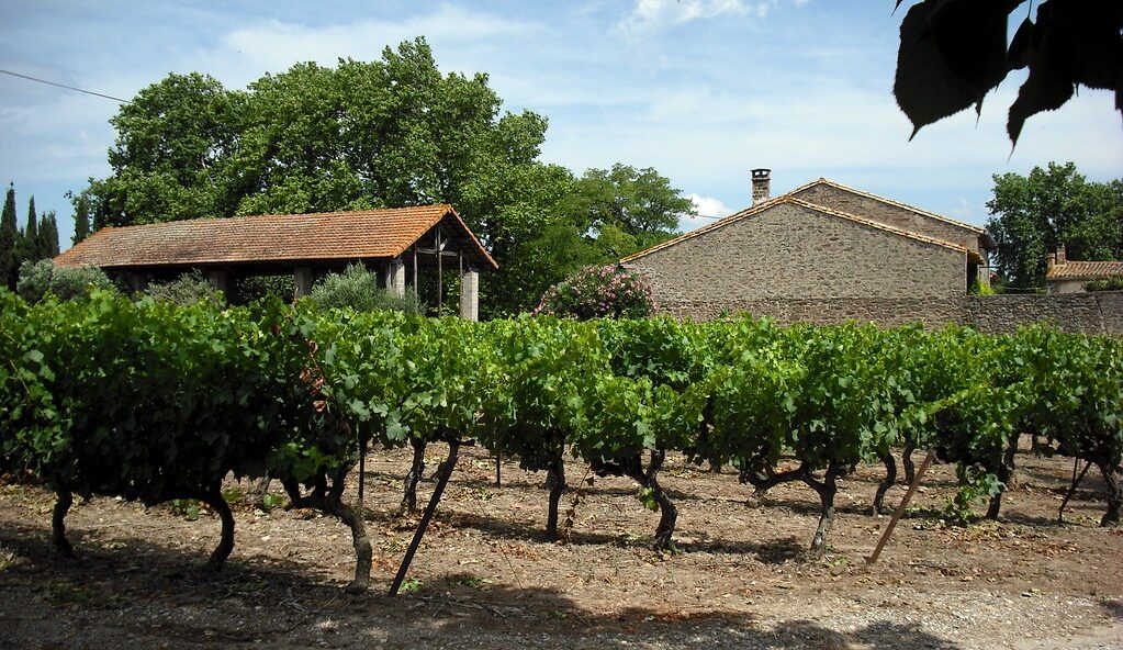 gîtes rural charente maritime