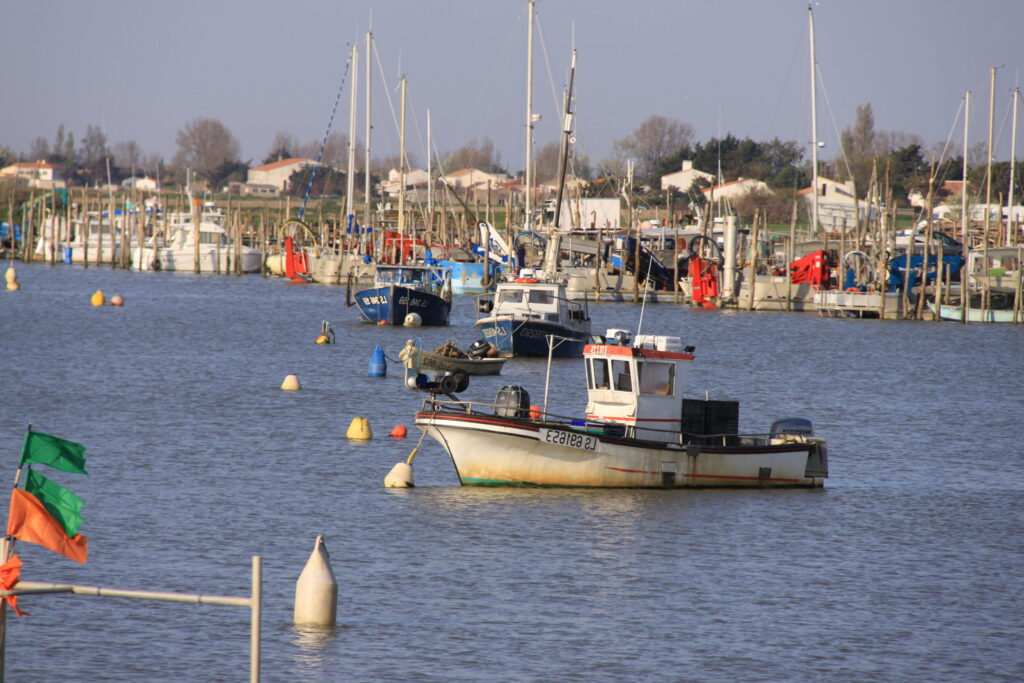 Louer un gîtes de france charente maritime aiguillon sur mer